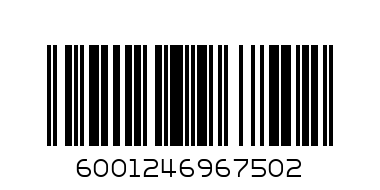 YAARD BROOM (3206BL) - Barcode: 6001246967502