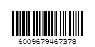 WB 300G LEM GARLIC BRAAI SALT - Barcode: 6009679467378